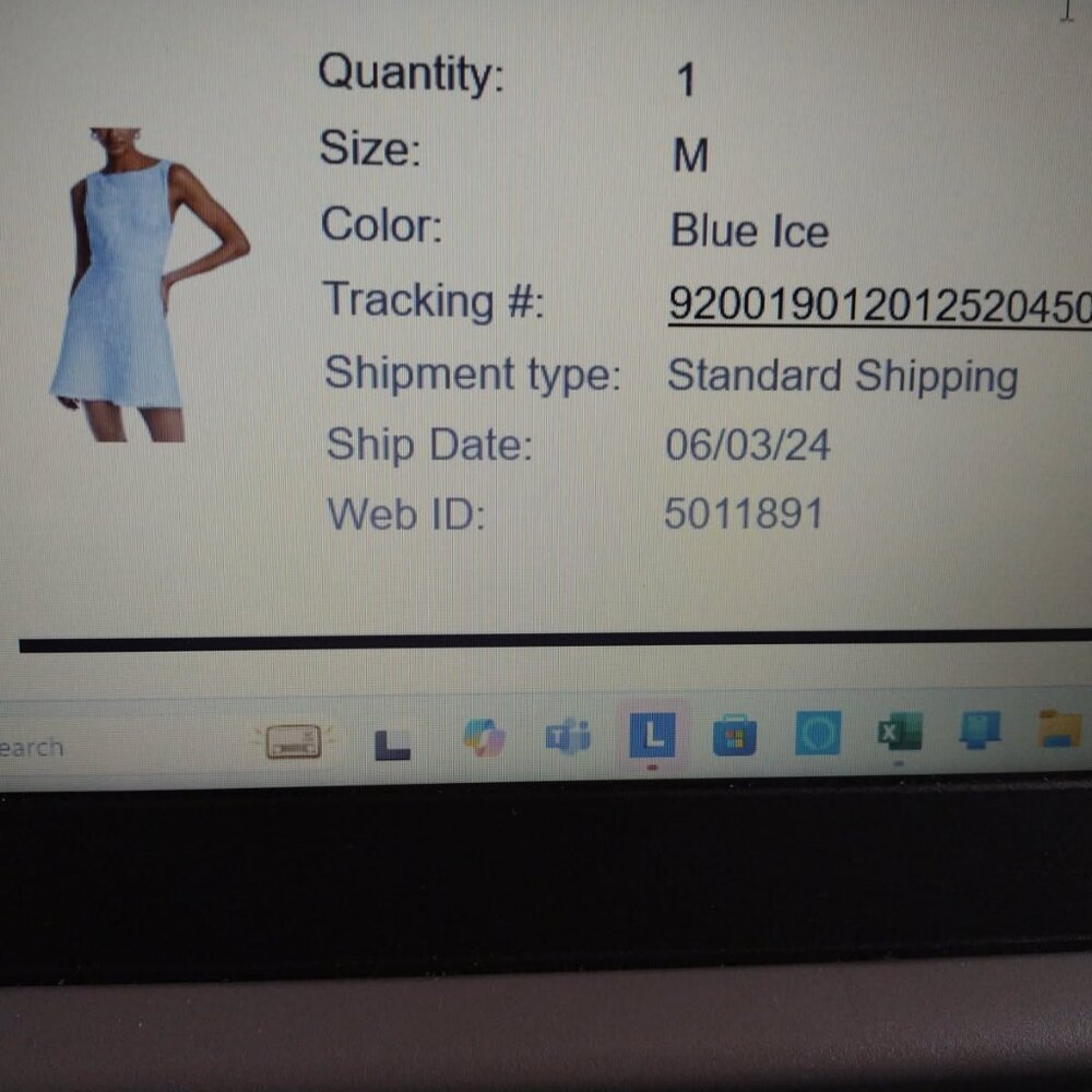 Light Blue Dress
